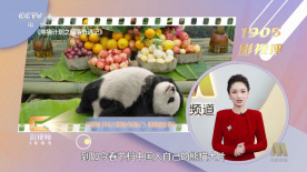 国内精品视频在线播放一区